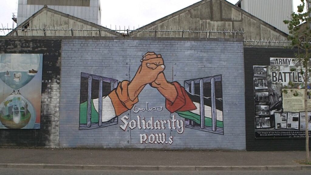 Why is Palestine so important in Ireland?