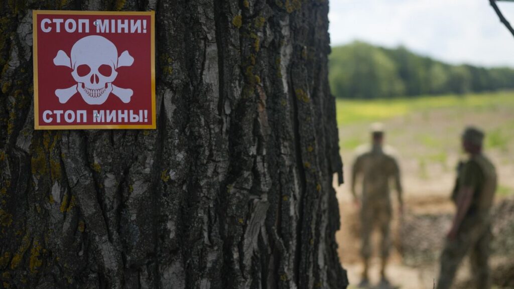 Pro-Kremlin disinformation claims Ukraine uses orphans to clear mines