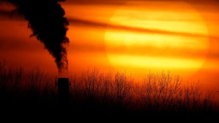 EU decision on 2040 climate target to be delayed, diplomats say