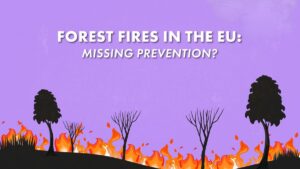 Is the EU failing to prevent forest fires?