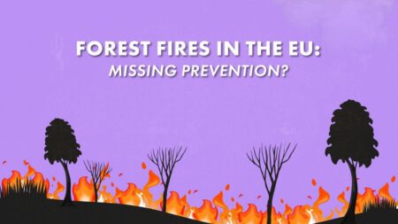 Is the EU failing to prevent forest fires?