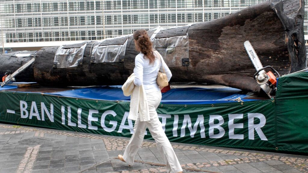 Commission claims IT glitch forced second delay to EU deforestation rules 