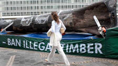 Commission claims IT glitch forced second delay to EU deforestation rules 