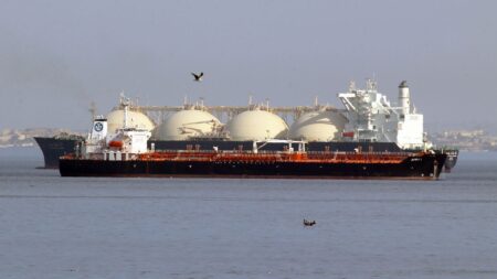 European imports of Russian shipped gas send €8.10bn to Moscow’s coffers – report
