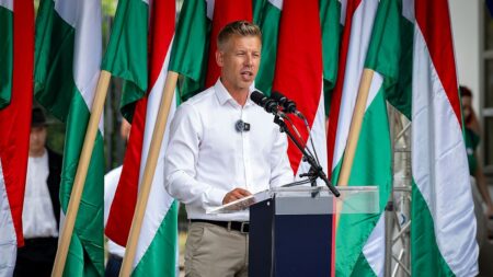European Parliament votes to protect Magyar’s and Salis’ immunity