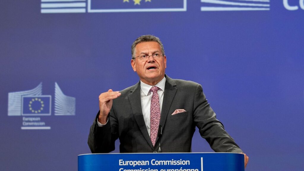 Brussels defiant against persistent criticism of EU-US trade deal