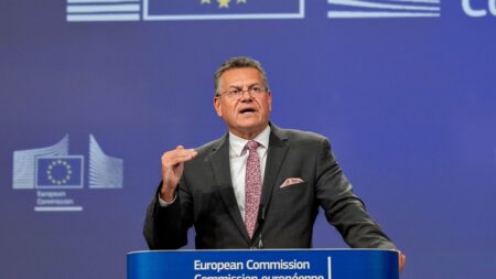Brussels defiant against persistent criticism of EU-US trade deal