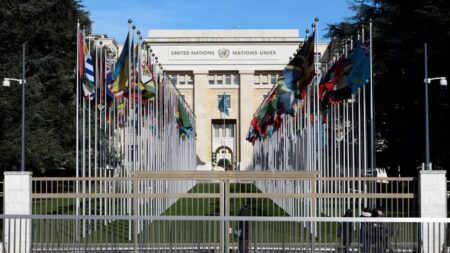Scandinavians trust global organisations more than rest of Europe