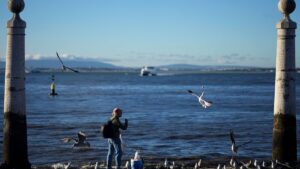 More than half of EU’s waters in poor ecological state – EEA report