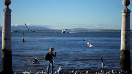 More than half of EU’s waters in poor ecological state – EEA report