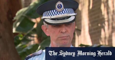 Man killed by large shark at popular Sydney beach