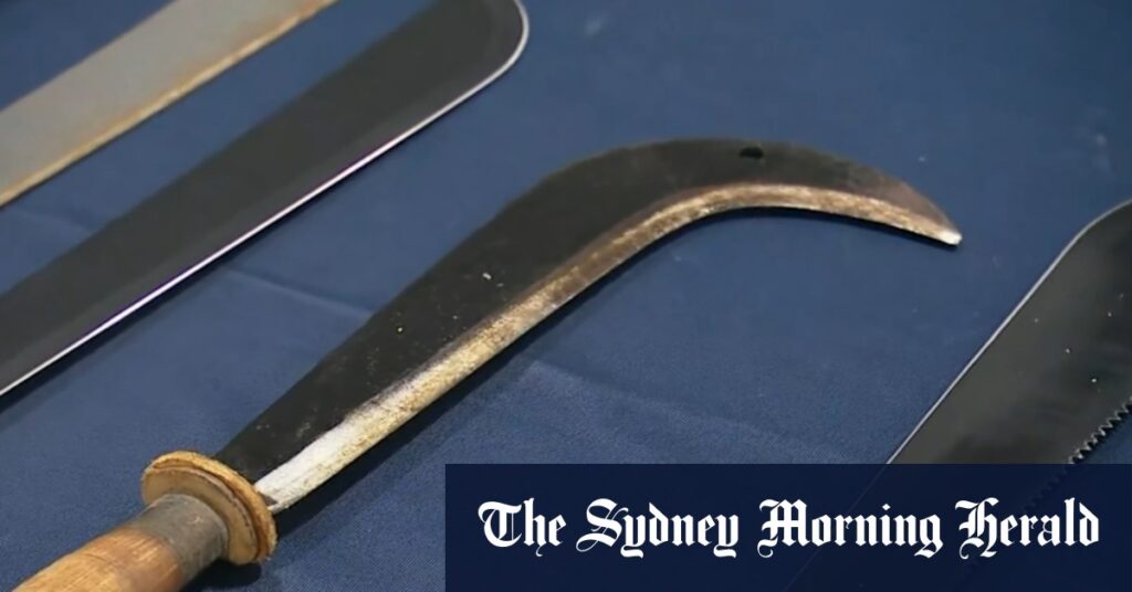 South Australia unveils new knife laws