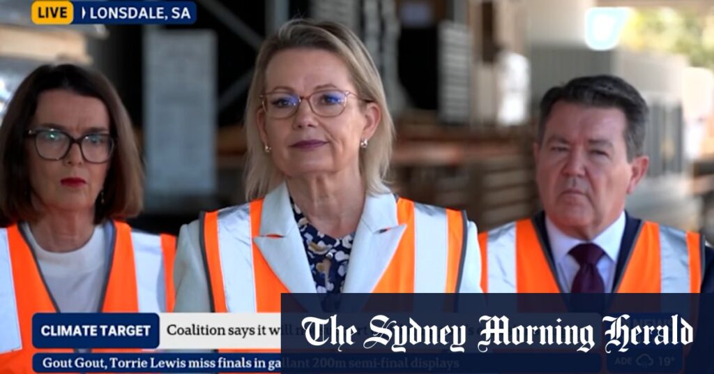 ‘I misspoke’: Ley forced to clarify climate gaffe