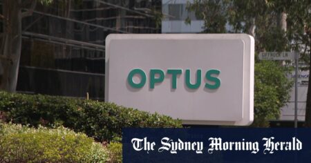 Optus CEO ‘must fall on his sword’