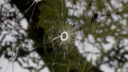 California man released from custody after arrest in ABC news station shooting
