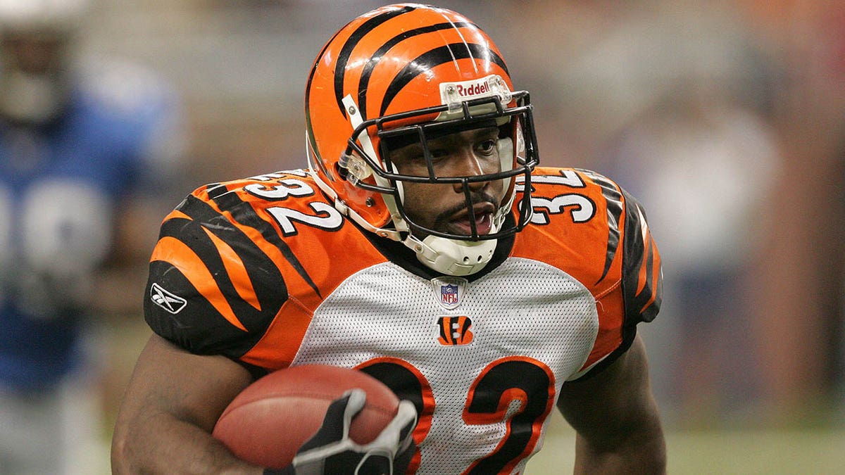 Rudi Johnson vs Lions