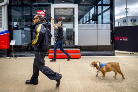 Why is Lewis Hamliton’s dog Roscoe vegan?