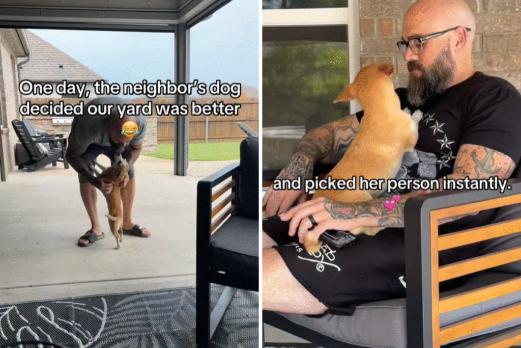 Couple Grieving Beloved Dog Can’t Believe What Neighbor’s Pup Does for Them