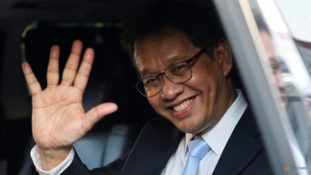 Indonesia’s new pro-growth finance minister says job is not easy