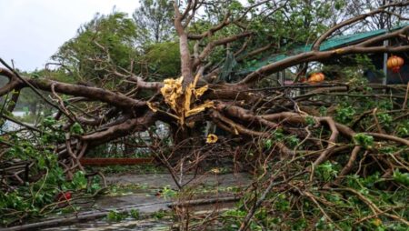 Typhoon Bualoi death toll rises to 19 in Vietnam