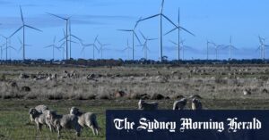 Maritime wind measures difficult but essential