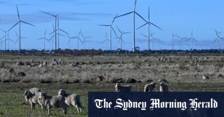 Maritime wind measures difficult but essential
