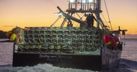 Fishery officers in Nova Scotia seize more than 1,000 lobster traps, make arrests