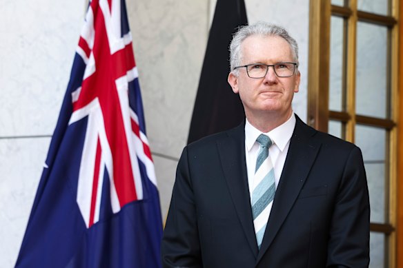 Home Affairs Minister Tony Burke last month.