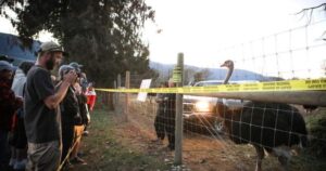 Edgewood residents stay silent on ostrich farm controversy over safety fears, ‘very volatile’