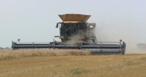 Inconsistent weather, tariffs loom over Manitoba’s harvest