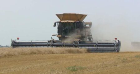 Inconsistent weather, tariffs loom over Manitoba’s harvest