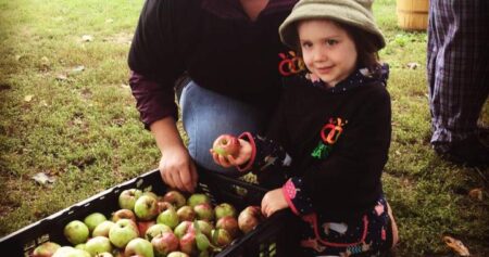 It’s slim pickings at some apple orchards this year. This is the reason