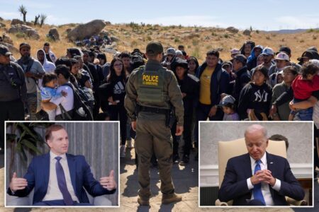Airbnb boss dumped Dems over border crisis — couldn’t back party that ‘lets in criminals and dangerous people’