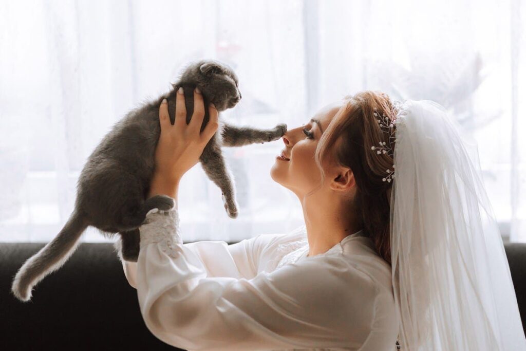 Bride tries to get photos with cat on wedding day, but there’s a problem
