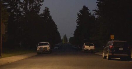 ‘It’s pitch black’: Streetlight outages leave northeast Calgary residents in the dark