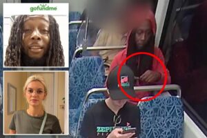 GoFundMe pulls horrific fundraiser for ex-con accused of murdering Ukrainian refugee on train