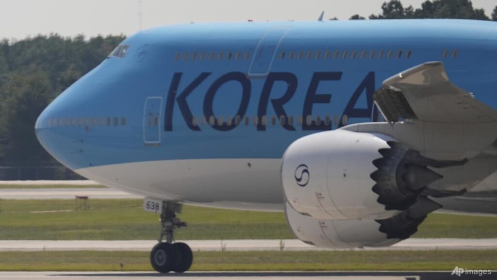 South Korean workers detained in US head home as Seoul seeks support for new visa