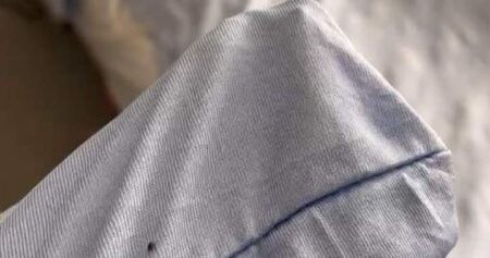 Dying Toronto woman’s daughter says she spotted bedbugs in palliative care bed
