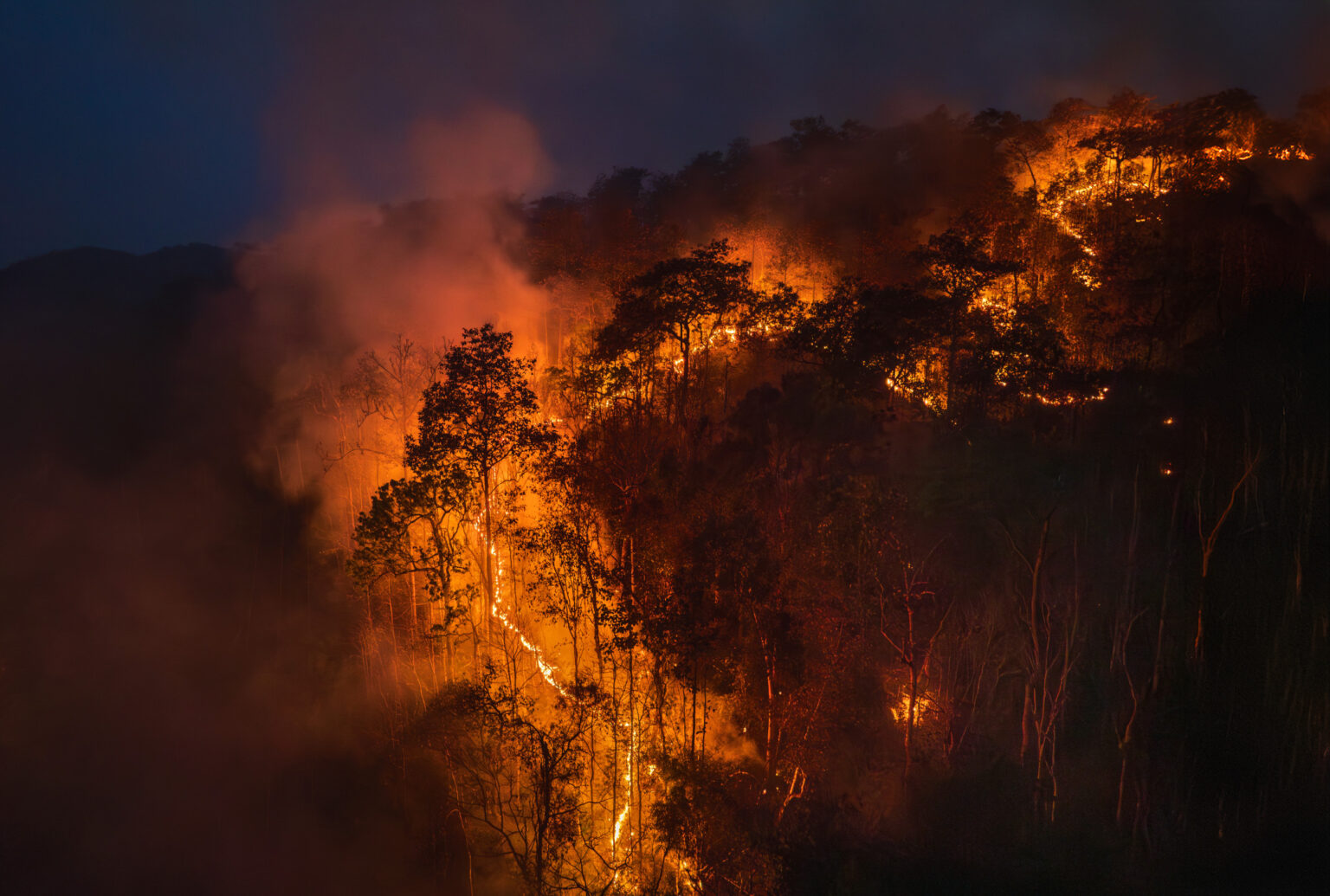 Watch as California ‘Bombarded’ by Lightning Strikes Amid Wildfire Outbreak
