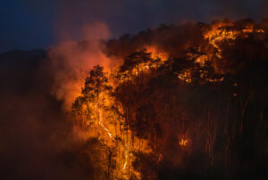 Watch as California ‘Bombarded’ by Lightning Strikes Amid Wildfire Outbreak