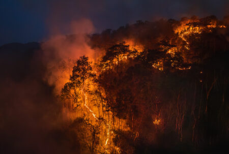 Watch as California ‘Bombarded’ by Lightning Strikes Amid Wildfire Outbreak