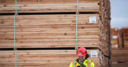 Canadian lumber hit with new 10% Trump tariff, sector calls it ‘misguided’