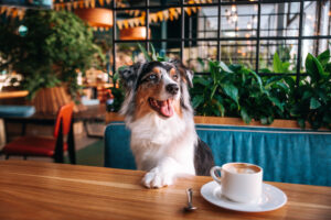 Woman Takes Dog for Brunch, Because ‘It’s Her First Time Living Too’