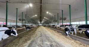 Slurry pit deaths: Quebec coroner warns of dangers to farmers from manure gases