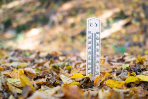 Thousands Warned of Freezing Temperatures