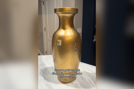 Woman Buys Gold Vase in Goodwill, Can’t Believe What Was Hiding Underneath