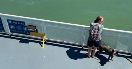 Could passenger-only vessels be part of BC Ferries’ future?