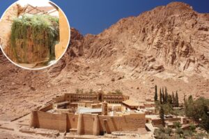 Plans for mega-luxe resort spark fury as bulldozers invade site where Moses received Ten Commandments