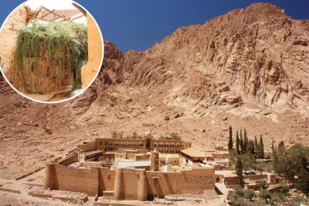 Plans for mega-luxe resort spark fury as bulldozers invade site where Moses received Ten Commandments