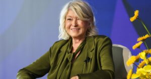 Snag Martha Stewart’s High-End Birkin Bag Look for a Shocking  on Amazon